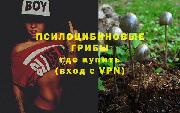 ECSTASY Арсеньев