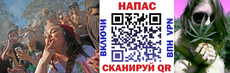 Бошки марихуана марихуана  наркошоп  Карачев 